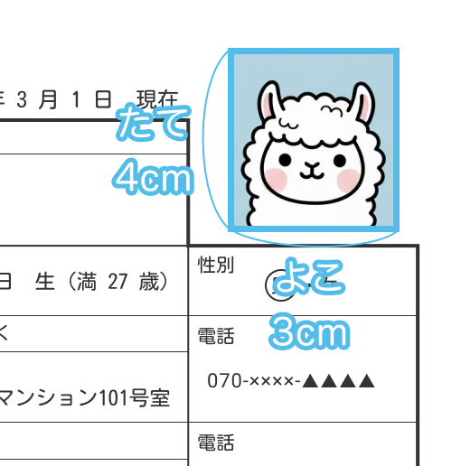 履歴書の写真サイズ